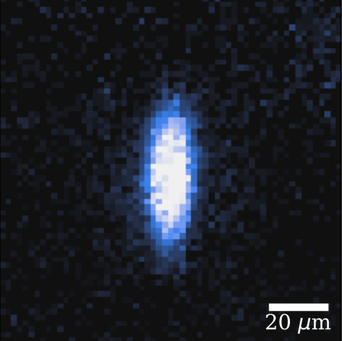 May 2025: Our new paper ‘Creation of a degenerate Bose-Bose mixture of erbium and lithium atoms’ is on the arXiv